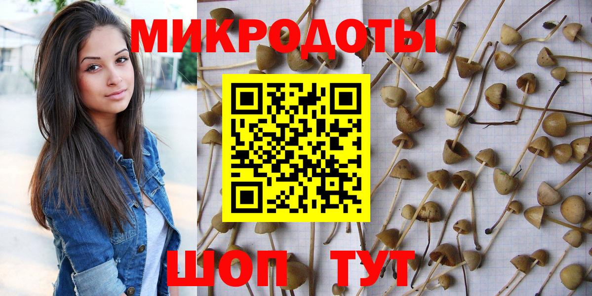 Галлюциногенные грибы MAGIC MUSHROOMS Бузулук