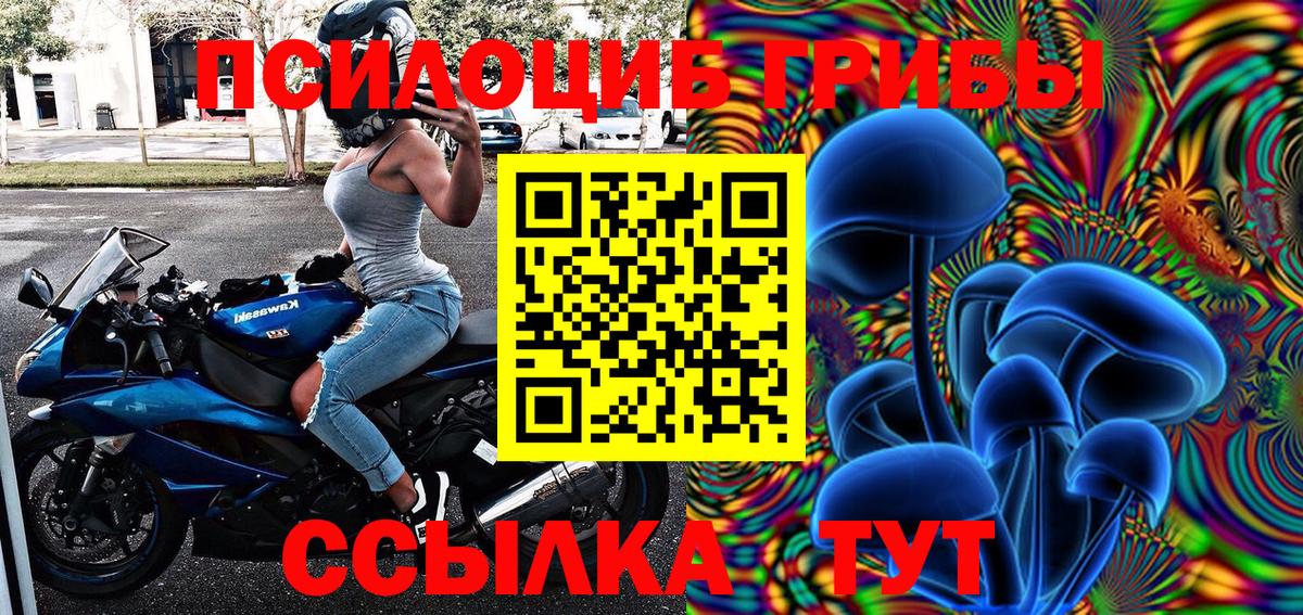Галлюциногенные грибы Psilocybine cubensis Бузулук
