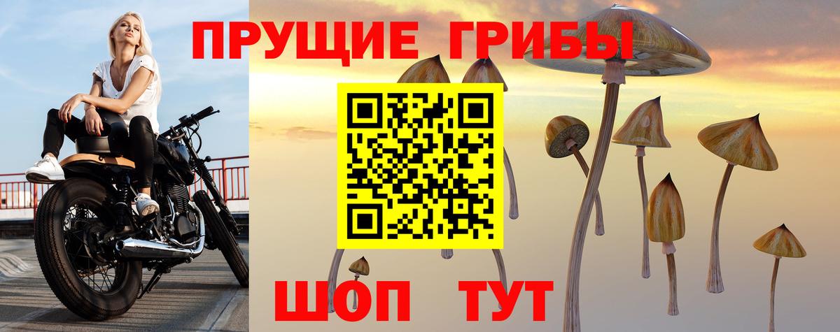 Псилоцибиновые грибы Psilocybine cubensis  Бузулук 